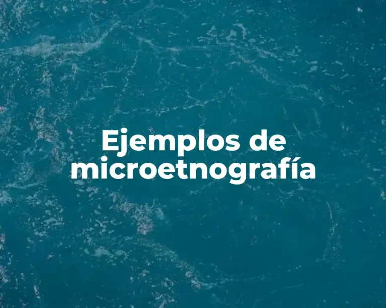 Ejemplos de microetnografía