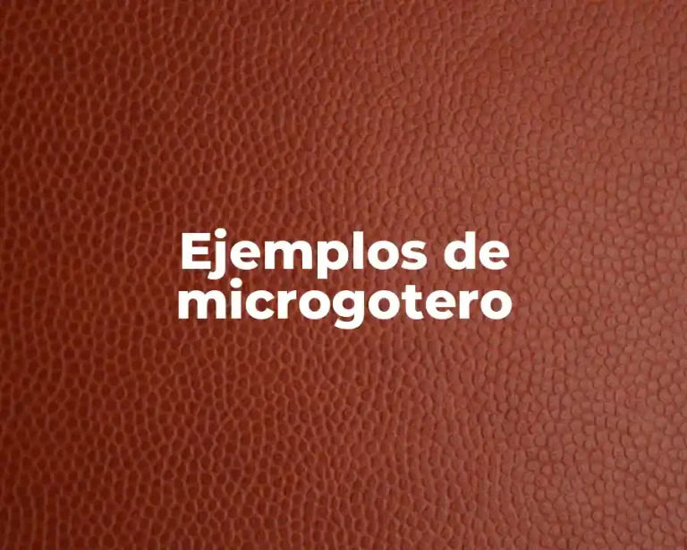 Ejemplos de microgotero