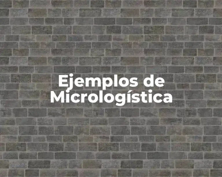 Ejemplos de Micrologística