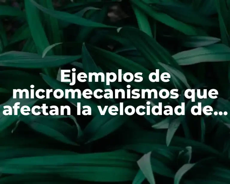 Ejemplos de micromecanismos que afectan la velocidad de reacción