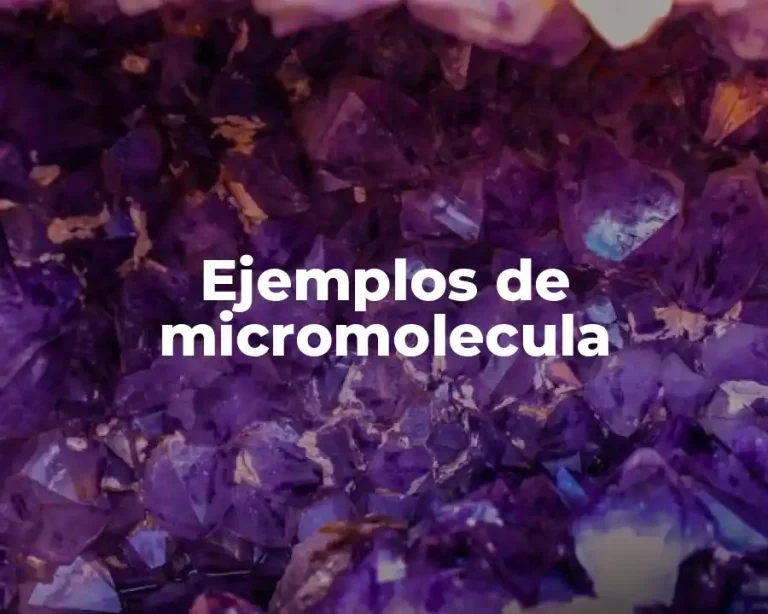 Ejemplos de micromolecula