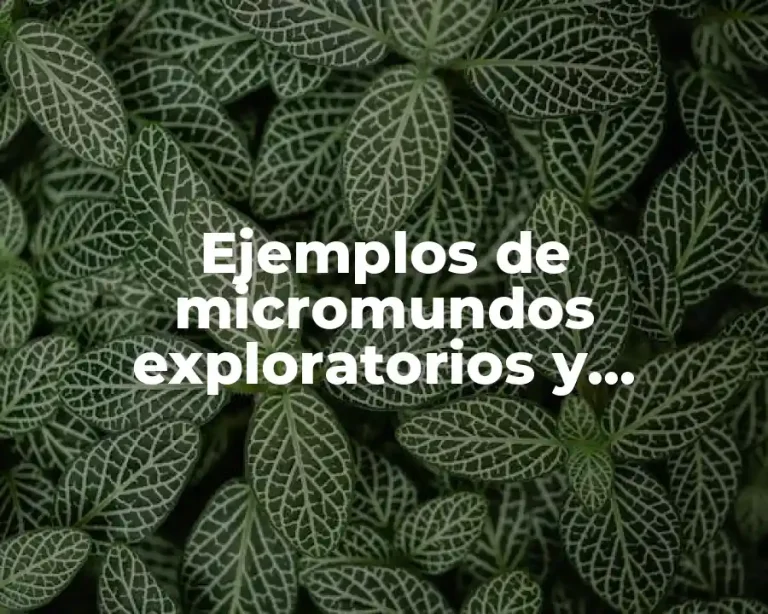 Ejemplos de micromundos exploratorios y lenguaje sintónico