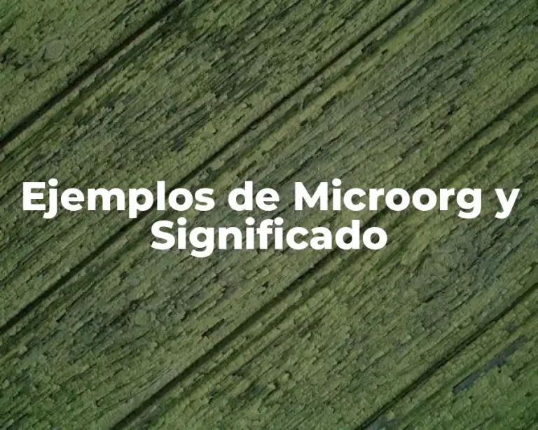 Ejemplos de Microorg y Significado
