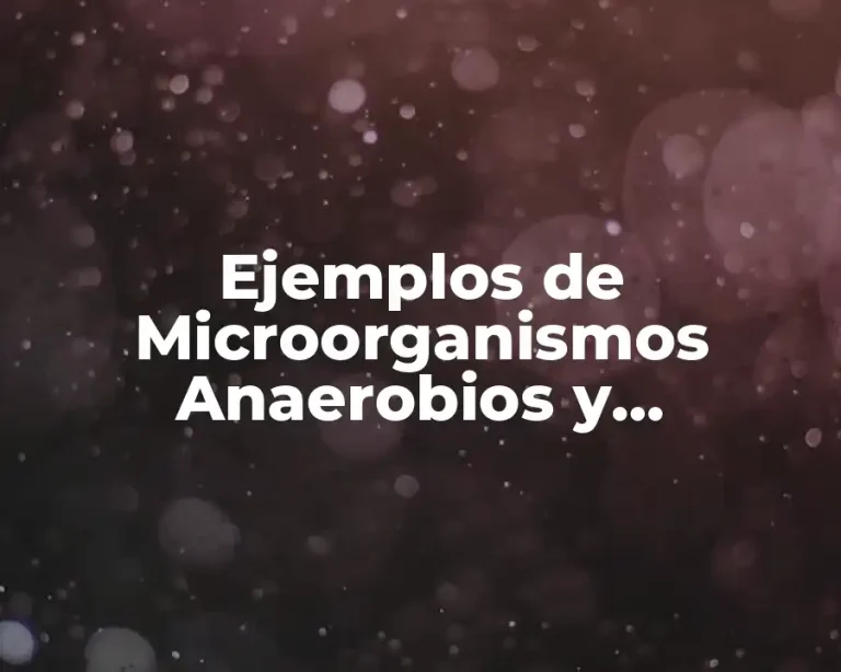Ejemplos de Microorganismos Anaerobios y Significado