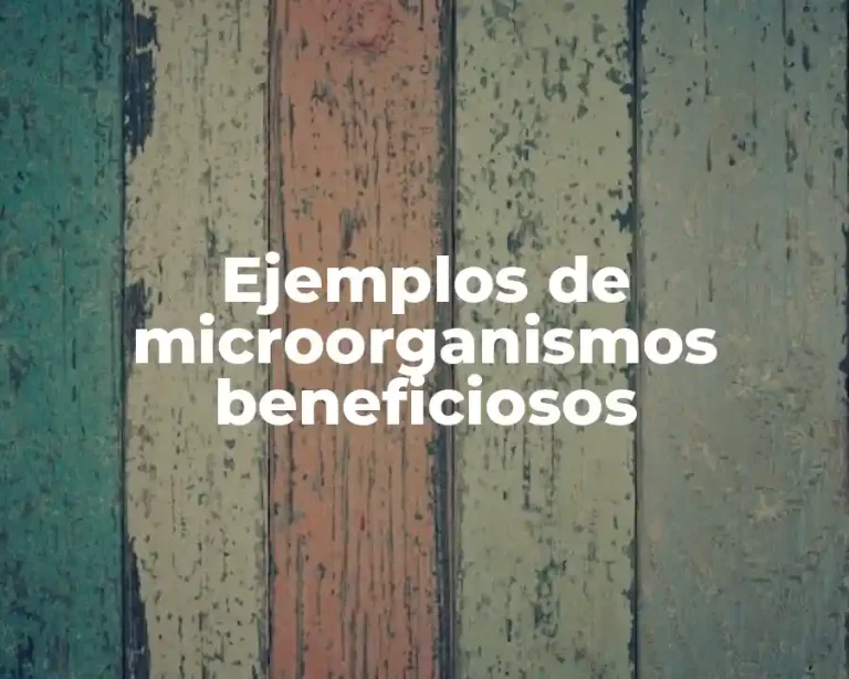 Ejemplos de microorganismos beneficiosos