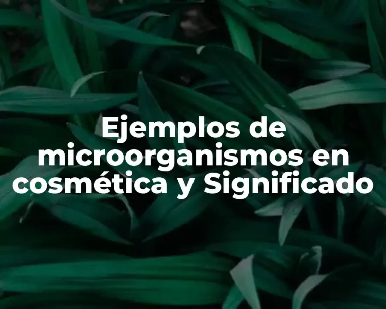 Ejemplos de microorganismos en cosmética y Significado
