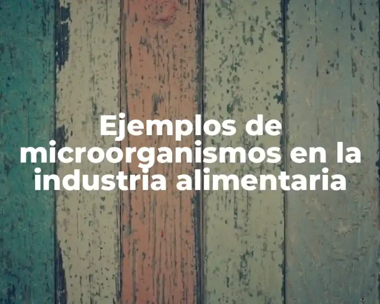 Ejemplos de microorganismos en la industria alimentaria