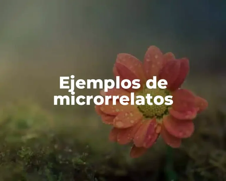 Ejemplos de microrrelatos