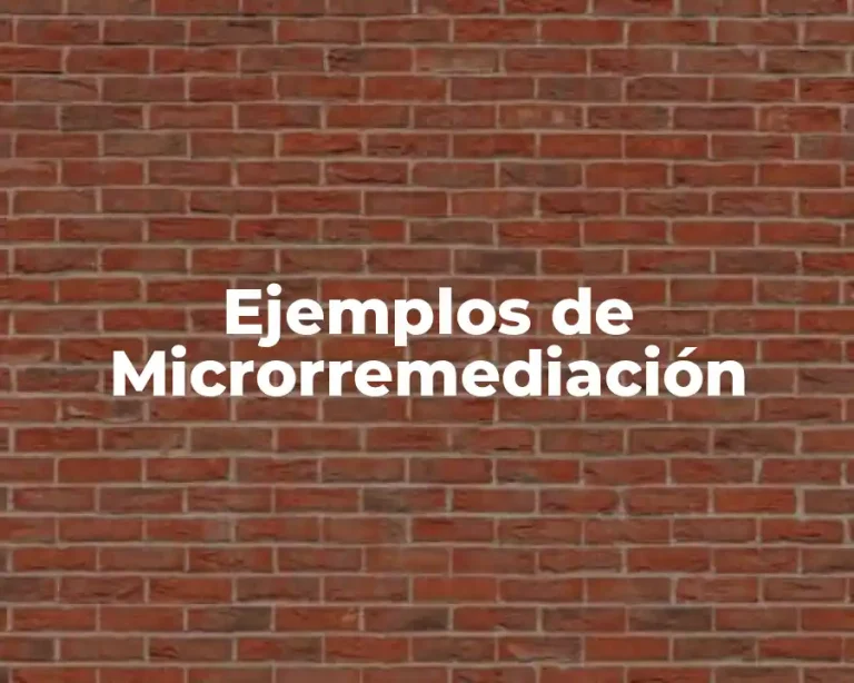 Ejemplos de Microrremediación