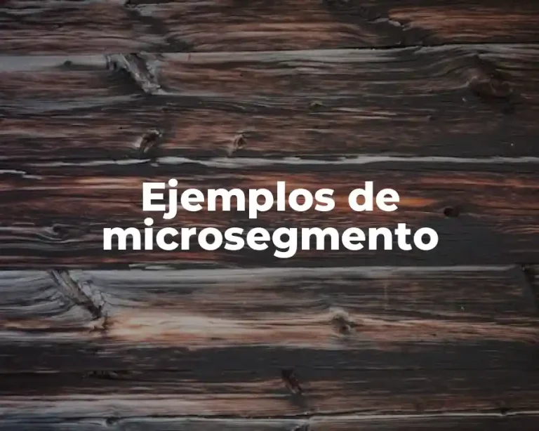 Ejemplos de microsegmento