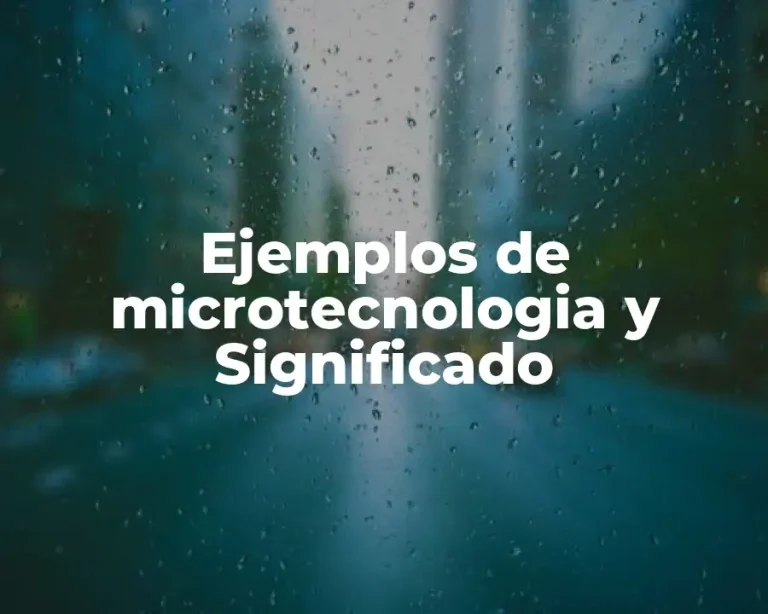 Ejemplos de microtecnologia y Significado