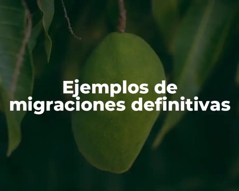 Ejemplos de migraciones definitivas