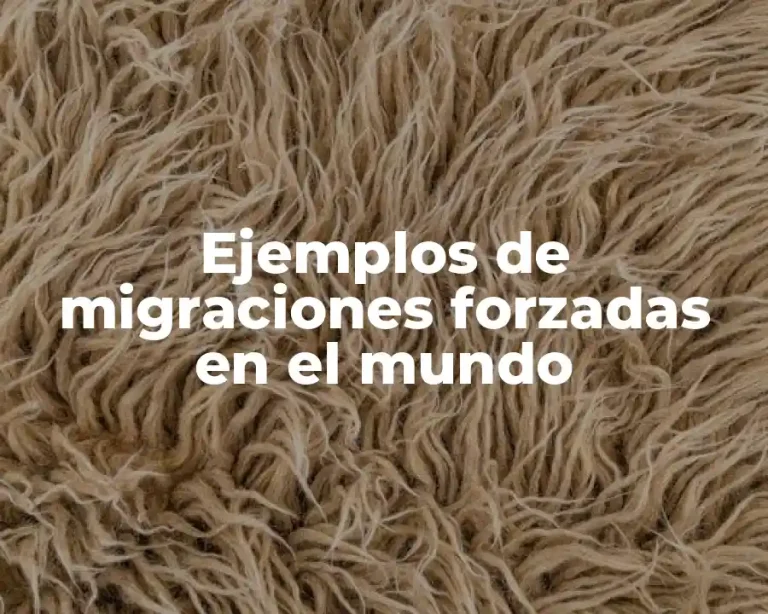 Ejemplos de migraciones forzadas en el mundo