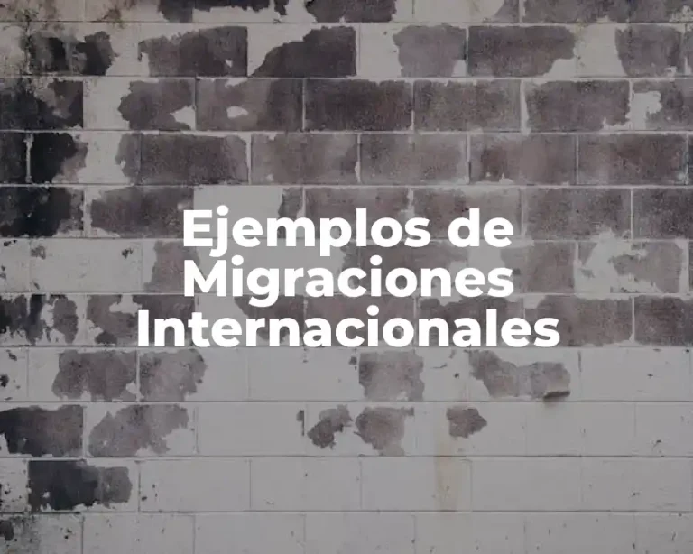 Ejemplos de Migraciones Internacionales