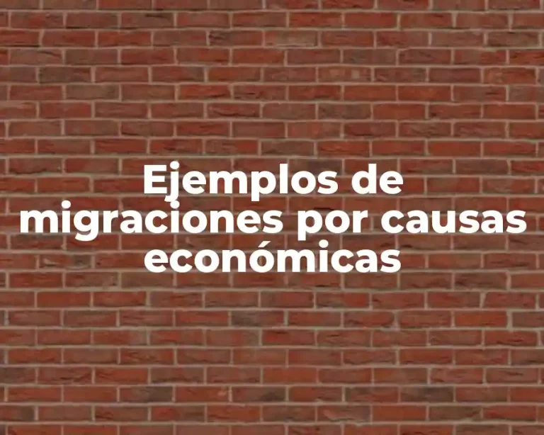 Ejemplos de migraciones por causas económicas
