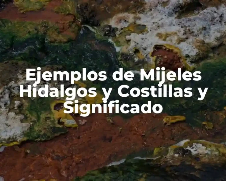 Ejemplos de Mijeles Hidalgos y Costillas y Significado
