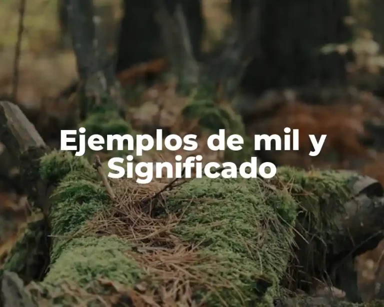 Ejemplos de mil y Significado