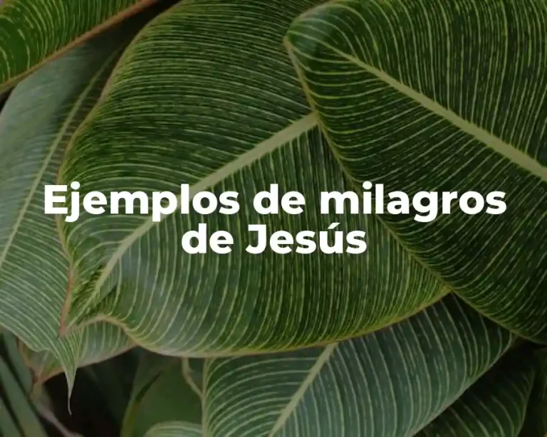 Ejemplos de milagros de Jesús