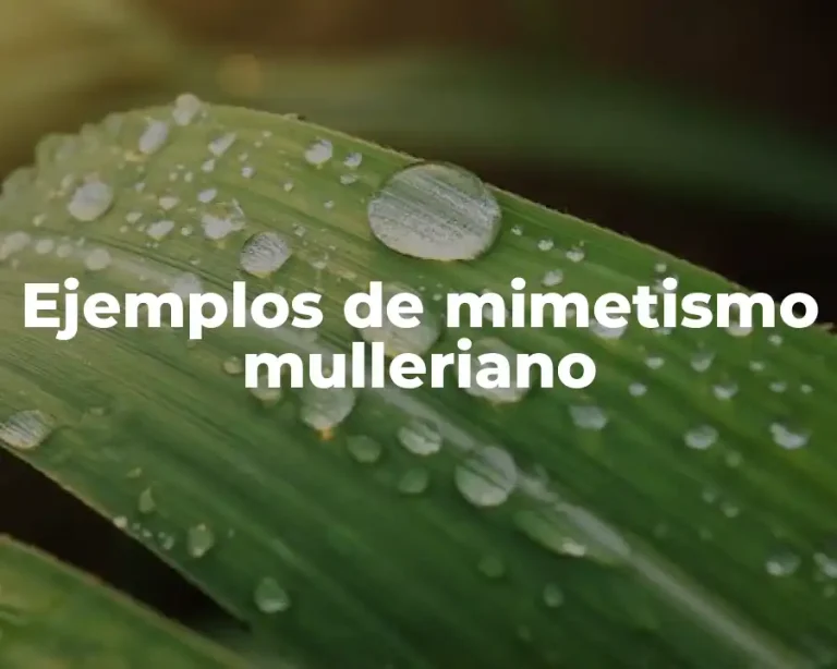 Ejemplos de mimetismo mulleriano
