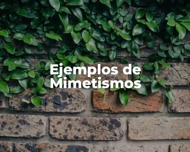 Ejemplos de Mimetismos