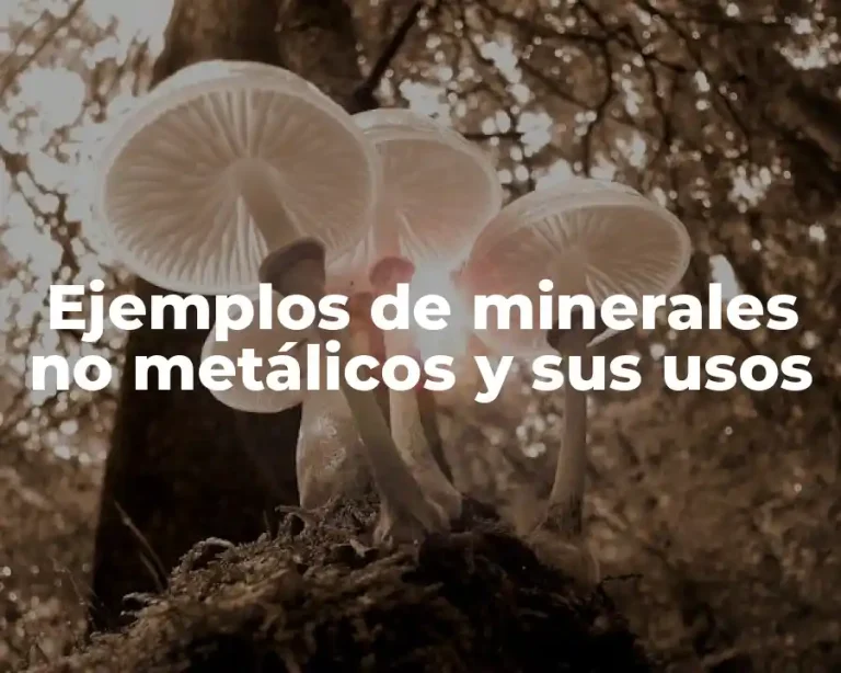 Ejemplos de minerales no metálicos y sus usos
