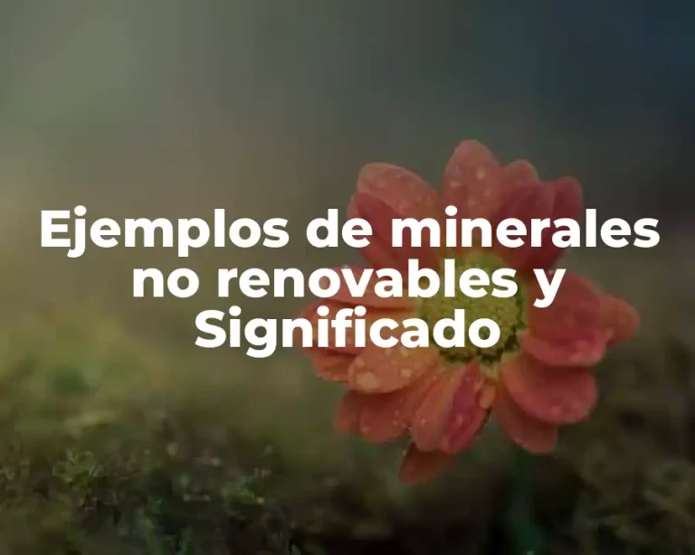 Ejemplos de minerales no renovables y Significado