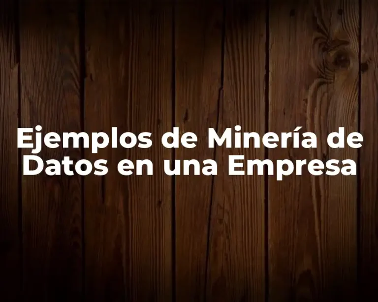 Ejemplos de Minería de Datos en una Empresa