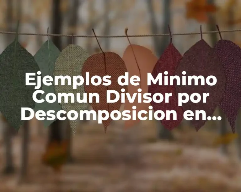 Ejemplos de Minimo Comun Divisor por Descomposicion en Factores Primos