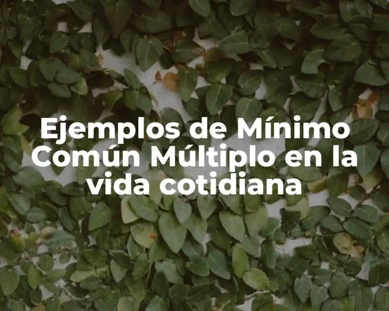 Ejemplos de Mínimo Común Múltiplo en la vida cotidiana