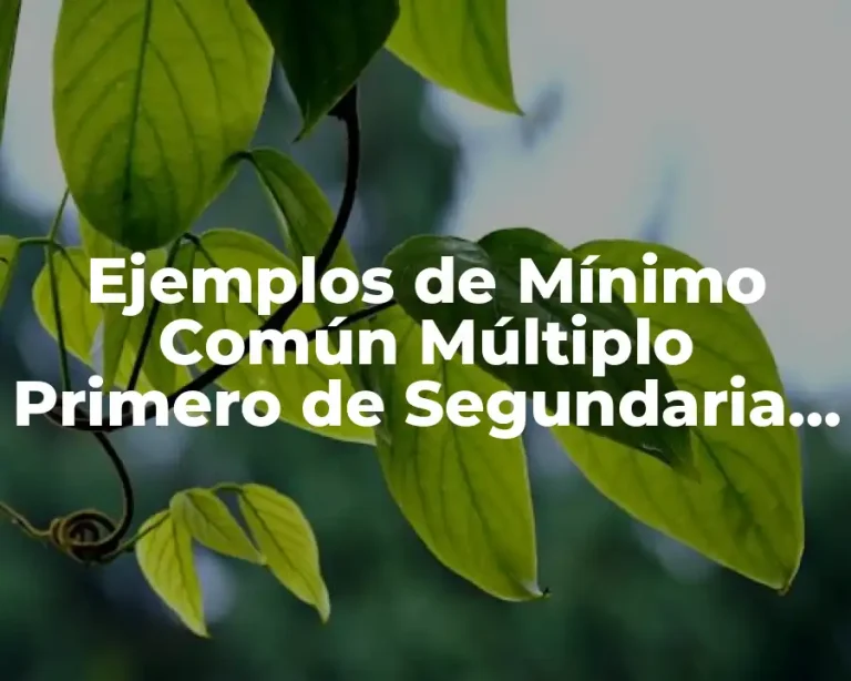 Ejemplos de Mínimo Común Múltiplo Primero de Segundaria con Resultados