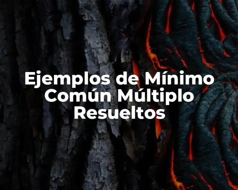 Ejemplos de Mínimo Común Múltiplo Resueltos