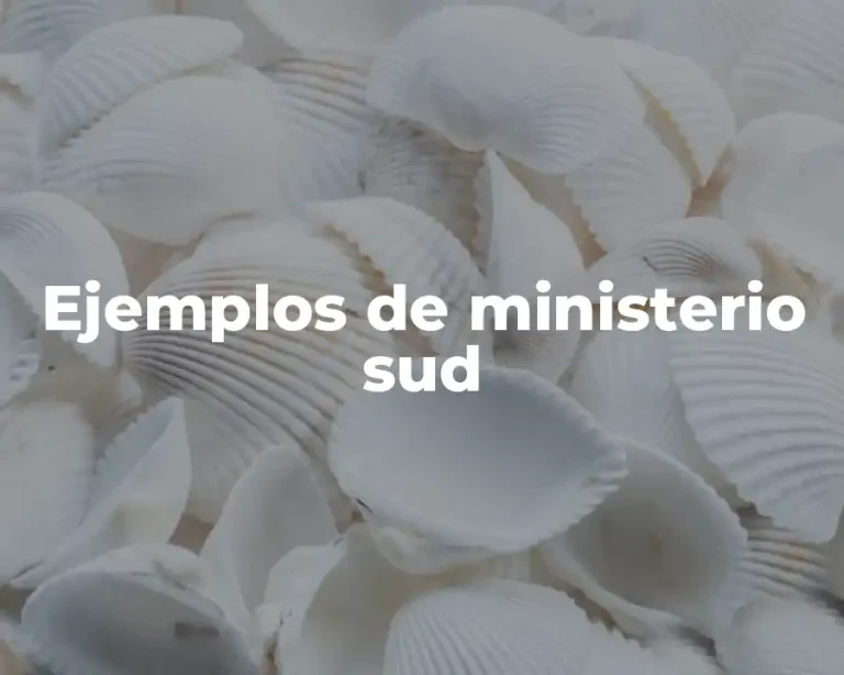 Ejemplos de ministerio sud