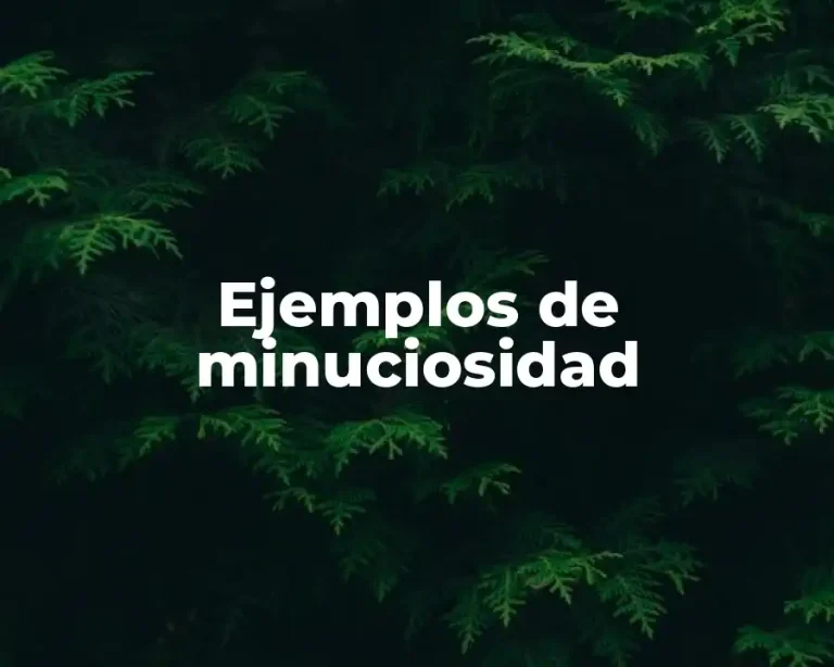 Ejemplos de minuciosidad