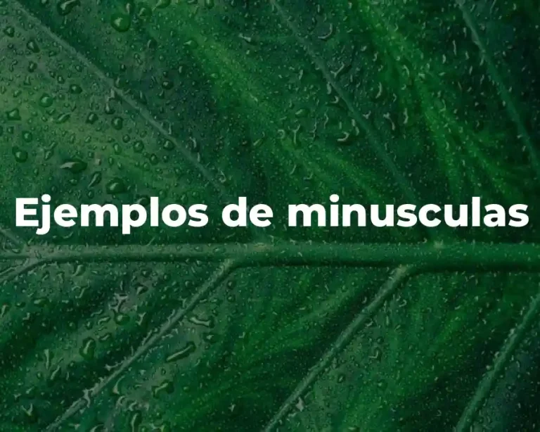 Ejemplos de minusculas
