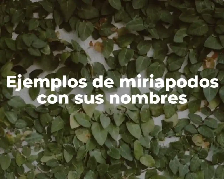 Ejemplos de miriapodos con sus nombres