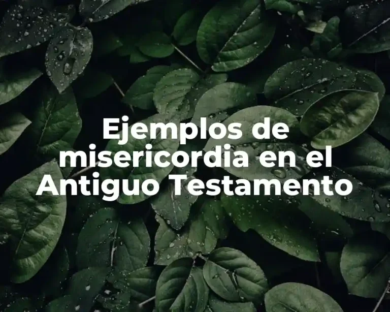 Ejemplos de misericordia en el Antiguo Testamento