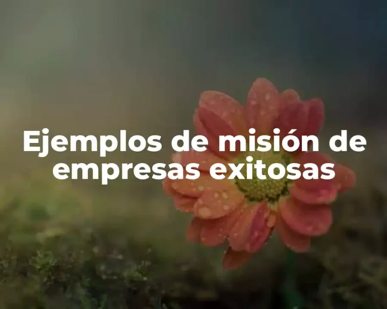 Ejemplos de misión de empresas exitosas