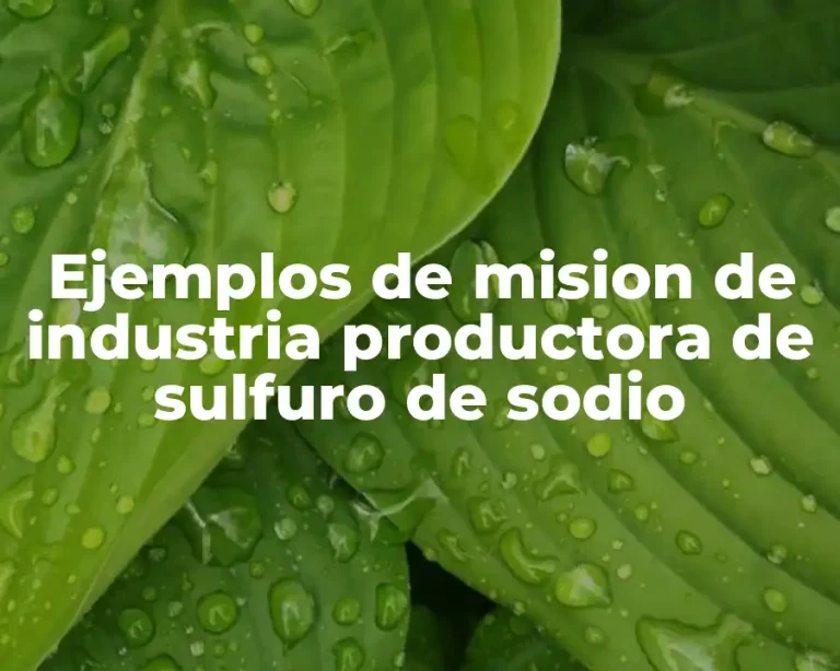 Ejemplos de mision de industria productora de sulfuro de sodio
