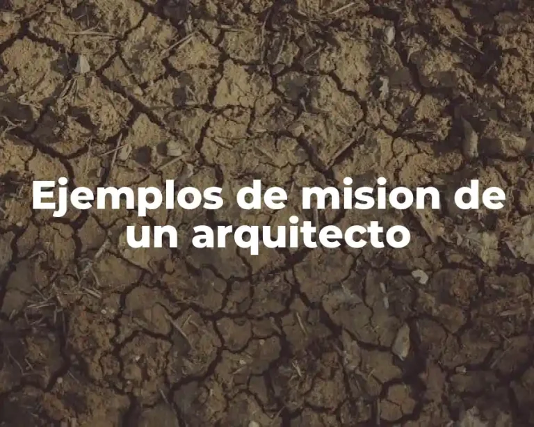 Ejemplos de mision de un arquitecto