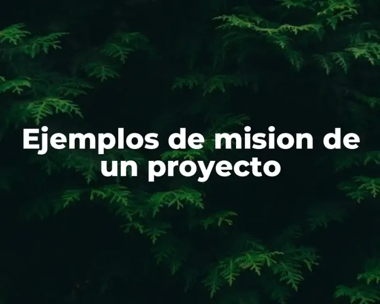 Ejemplos de mision de un proyecto