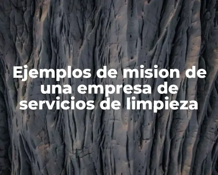Ejemplos de mision de una empresa de servicios de limpieza