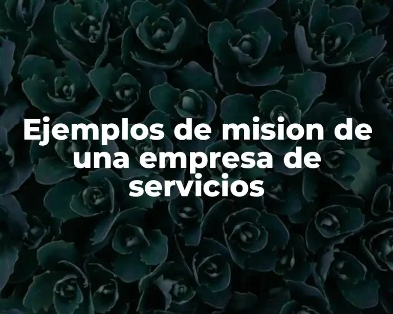 Ejemplos de mision de una empresa de servicios