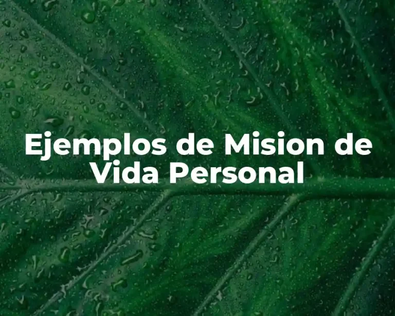 Ejemplos de Mision de Vida Personal