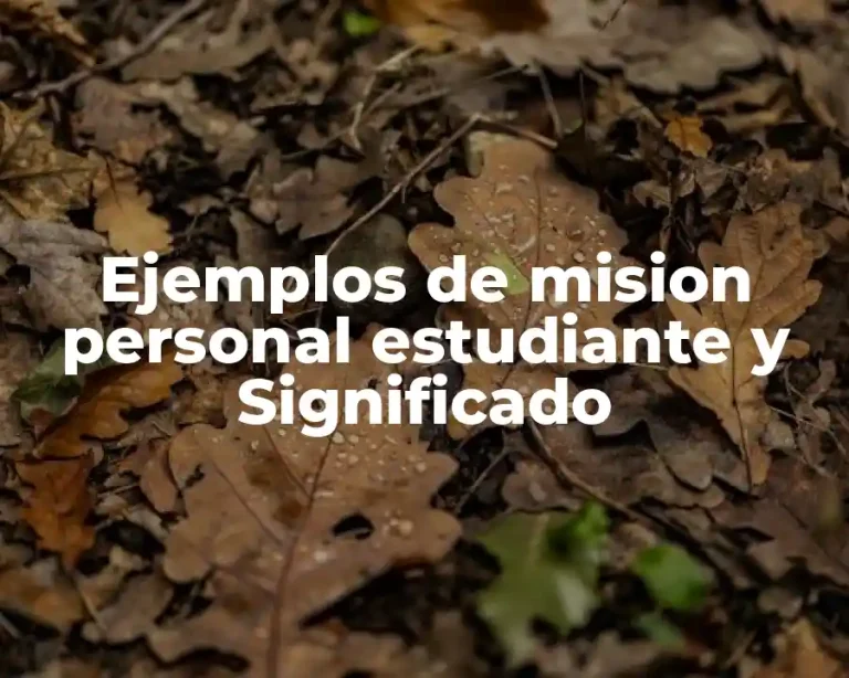 Ejemplos de mision personal estudiante y Significado