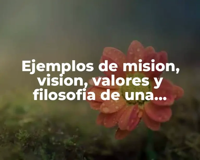 Ejemplos de mision, vision, valores y filosofia de una empresa