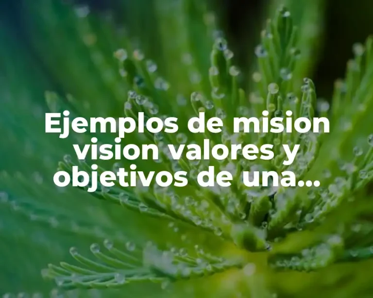 Ejemplos de mision vision valores y objetivos de una empresa