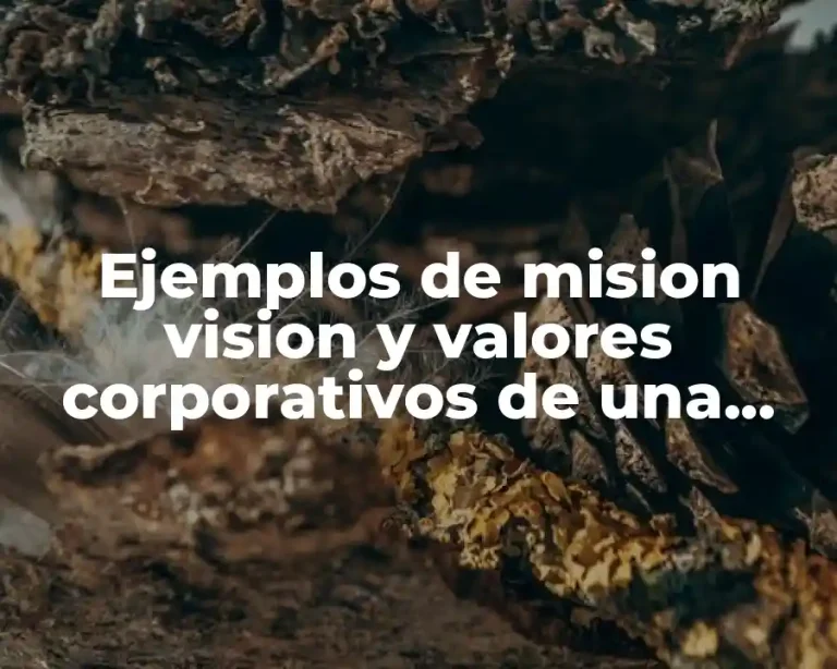 Ejemplos de mision vision y valores corporativos de una empresa