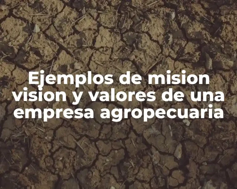 Ejemplos de mision vision y valores de una empresa agropecuaria