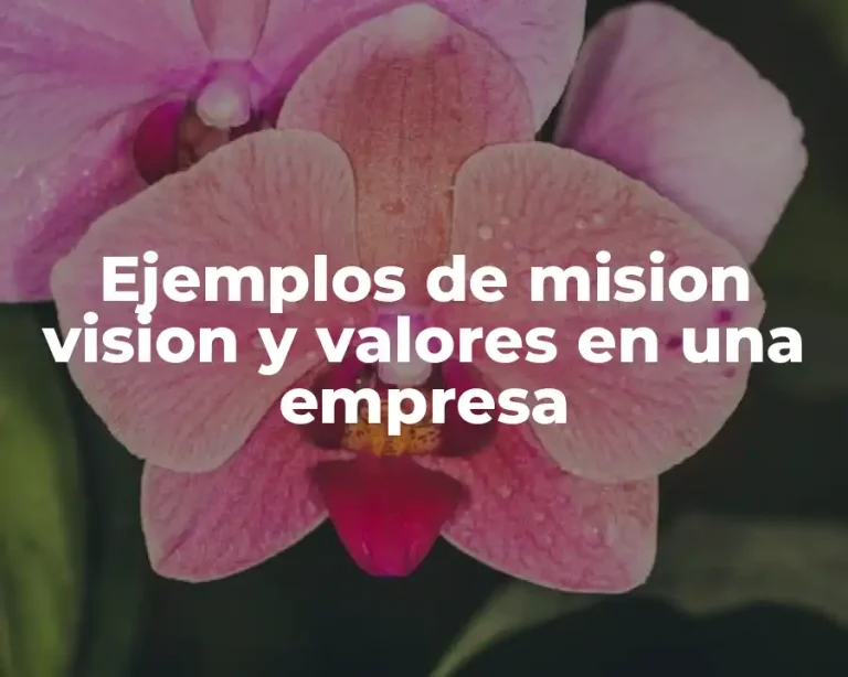 Ejemplos de mision vision y valores en una empresa