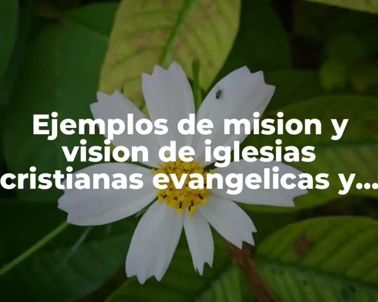 Ejemplos de mision y vision de iglesias cristianas evangelicas y Significado